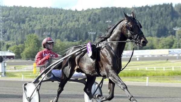 Foto: LARS JAKOBSSON / TR BILD