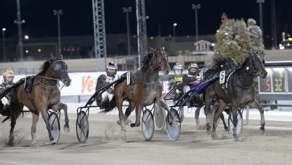 Foto: LARS JAKOBSSON / TR BILD