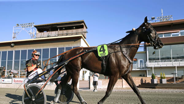 Foto: MARIA HOLMÉN / TR BILD