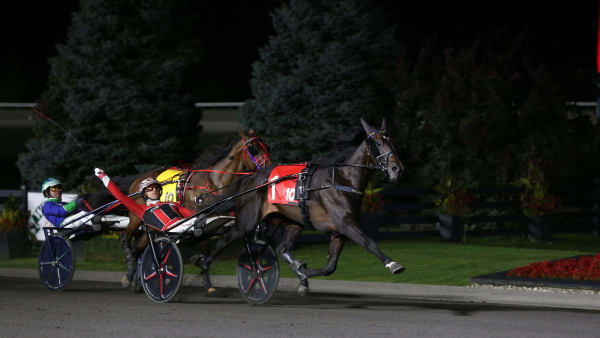 Foto: New Image Media