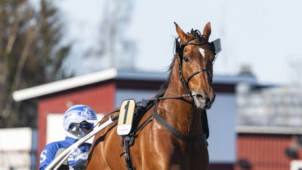 Foto: LENA EMMOTH / TR BILD