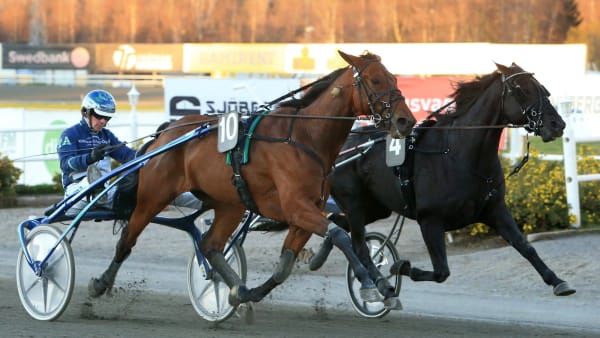 Foto: GIRLPOWER HB/TR BILD