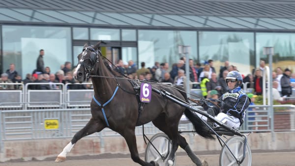 Foto: LARS JAKOBSSON / TR BILD