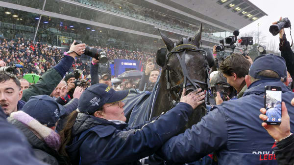 Foto: JEAN-LUC LAMAÈRE/TR BILD