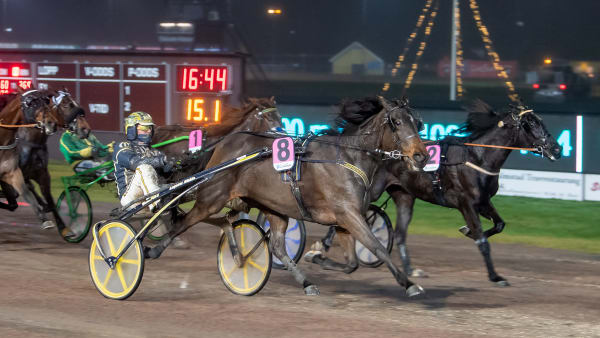 Foto: MIKAEL ROSENQUIST / TR BILD