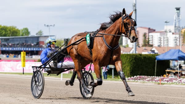 Foto: LENA EMMOTH / TR BILD