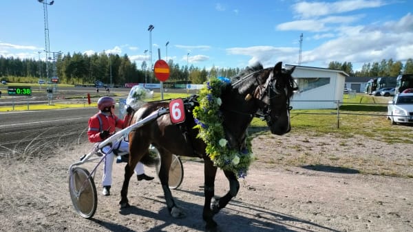 Foto: Lucas Ericsson/TR Bild.