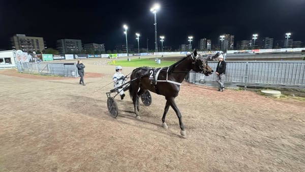 Foto: EMIL PERSSON/TR BILD