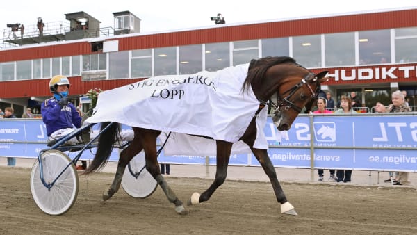 Foto: MARIA HOLMÉN / TR BILD