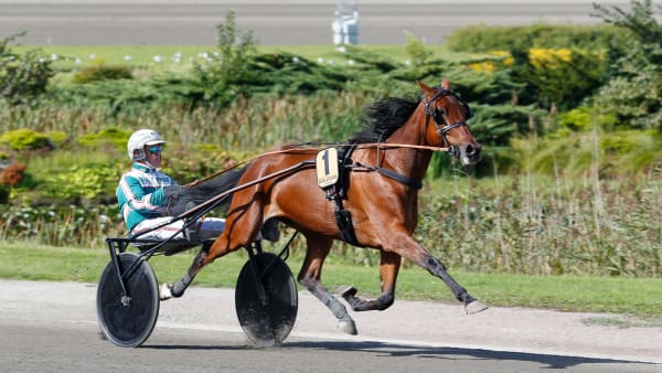 Foto: THOMAS BLOMQVIST / TR BILD