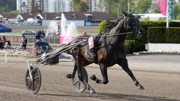 Foto: LENA EMMOTH / TR BILD