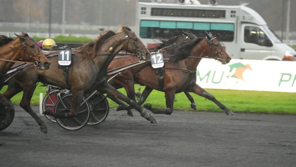 Foto: THOMAS BLOMQVIST/ TR BILD