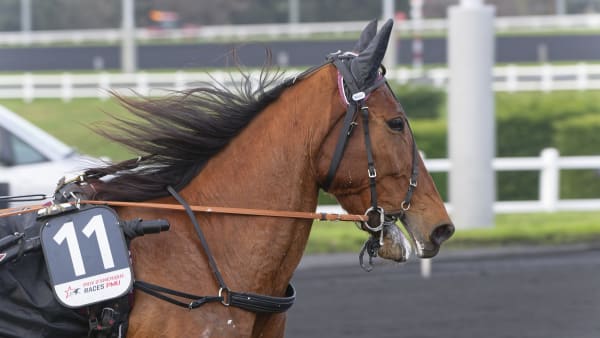 Foto: JEAN-LUC LAMAÈRE/TR BILD
