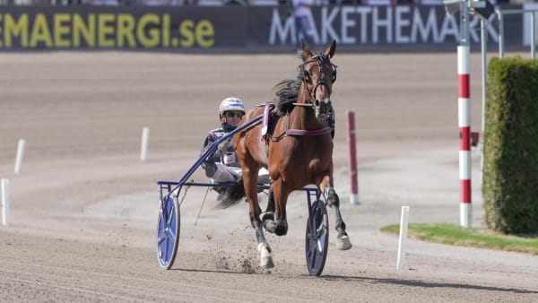 Foto: TR BILD