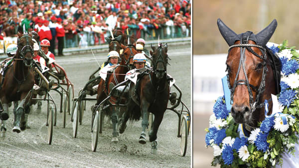 Foto: TR Bild/Montage