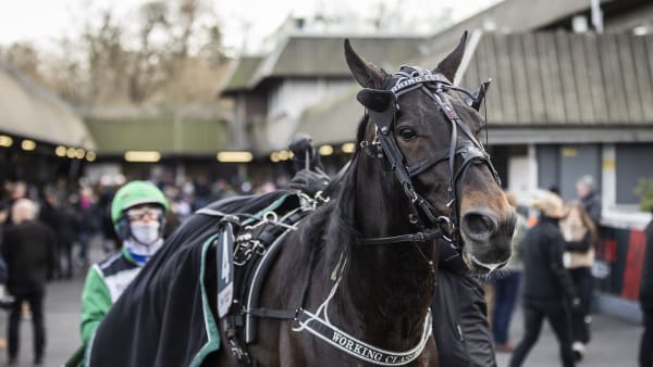 Foto: BRUNO VANDEVELDE/LE TROT