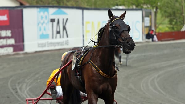 Foto: MATILDA ÖHRMAN / TR BILD