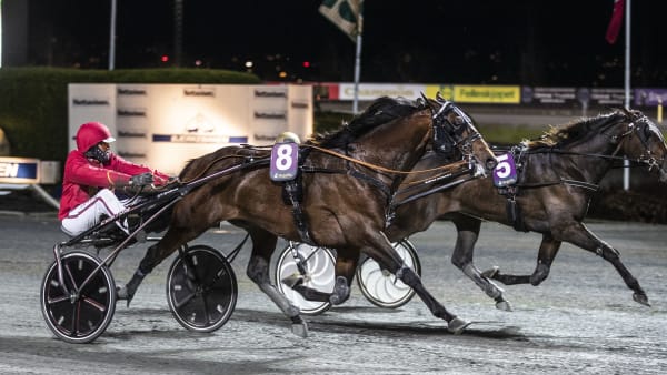 Foto: HESTEGUIDEN.COM