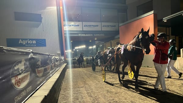 Foto: Mattias Holmgren / TR Bild