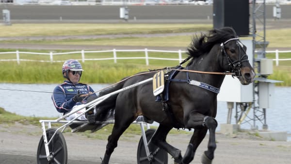 Foto: LARS JAKOBSSON / TR BILD