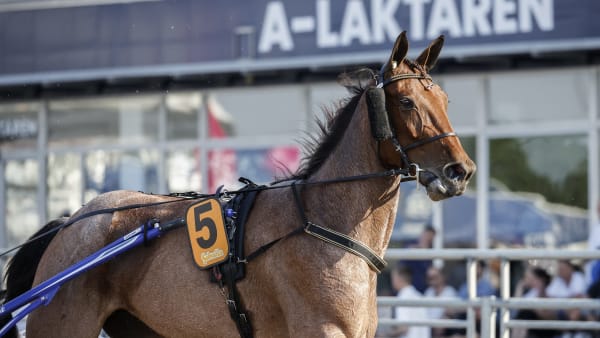 Foto: LENA EMMOTH / TR BILD
