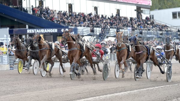 Foto: LARS JAKOBSSON / TR BILD