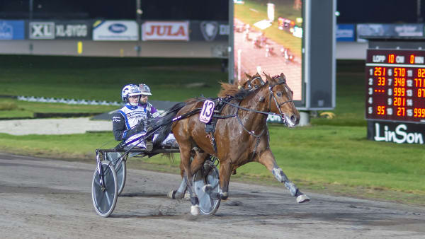 Foto: MIKAEL ROSENQUIST / TR BILD