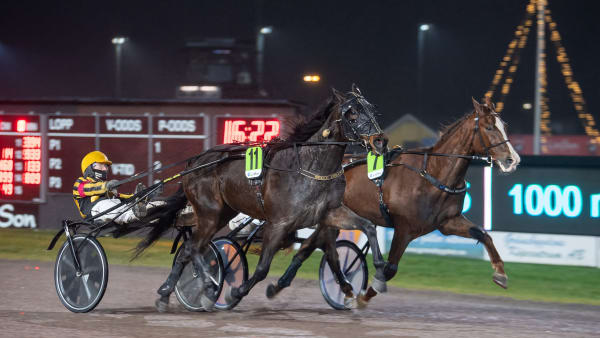 Foto: MIKAEL ROSENQUIST / TR BILD