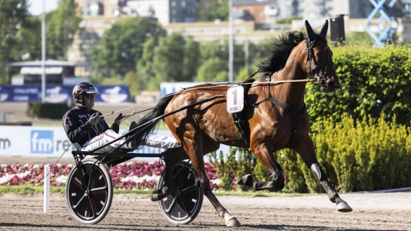 Foto: LENA EMMOTH / TR BILD