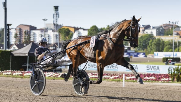 Foto: LENA EMMOTH / TR BILD