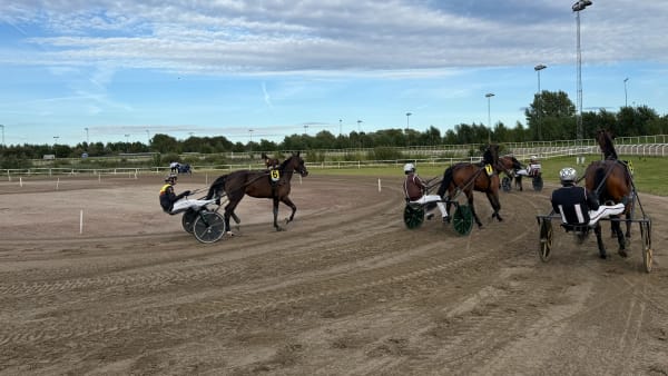 Foto: RICKARD HANSSON/TR BILD