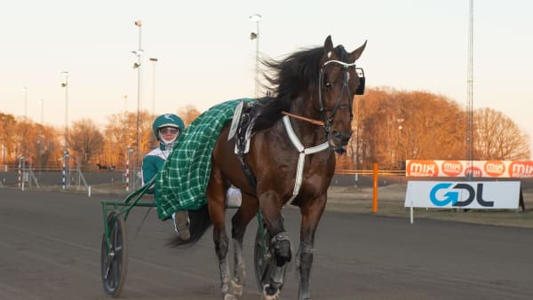 Foto: MIKAEL ROSENQUIST / TR BILD