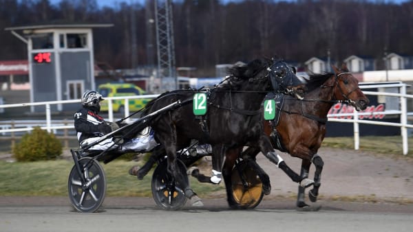 Foto: MALIN ALBINSSON / TR BILD