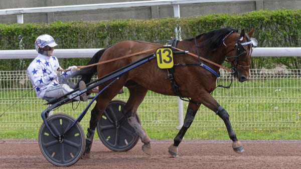 Foto: JEAN-LUC LAMAERE/LE TROT