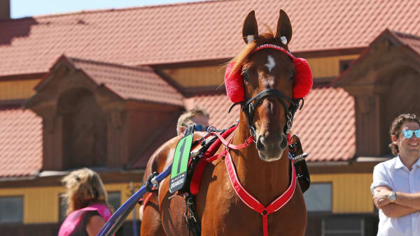 Foto: MATILDA ÖHRMAN / TR BILD