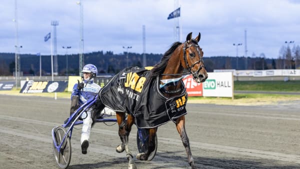 Foto: LENA EMMOTH / TR BILD