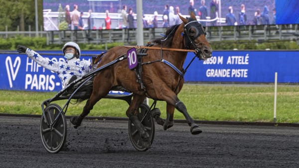 Foto: JEAN-LUC LAMAERE/LE TROT