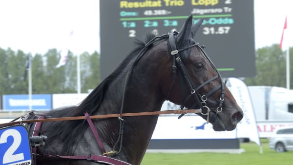 Foto: LARS JAKOBSSON / TR BILD