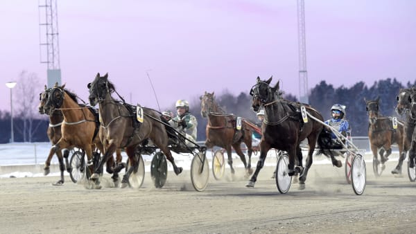 Foto: LARS JAKOBSSON / TR BILD