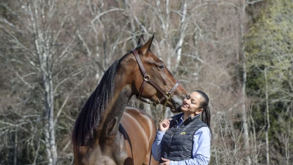 Foto: LARS JAKOBSSON/TR BILD