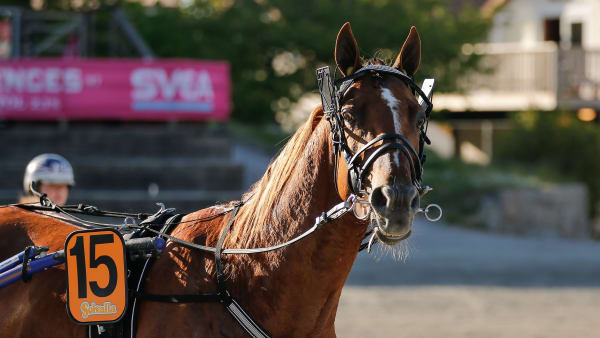 Foto: LENA EMMOTH / TR BILD