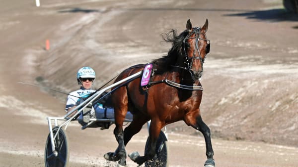 Foto: MARIA HOLMÉN / TR BILD