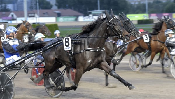 Foto: LARS JAKOBSSON / TR BILD