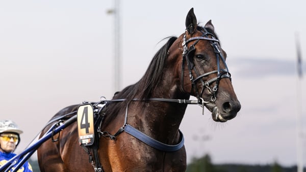 Foto: LENA EMMOTH / TR BILD