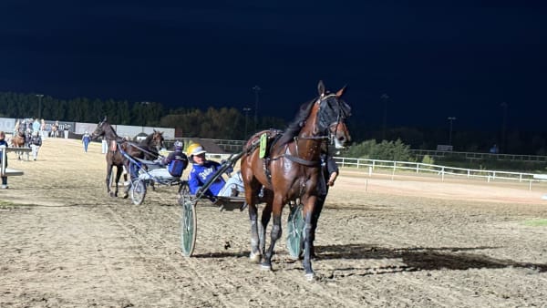 Foto: Rickard Hansson/TR Bild.