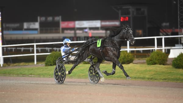 Foto: MALIN ALBINSSON/ALN