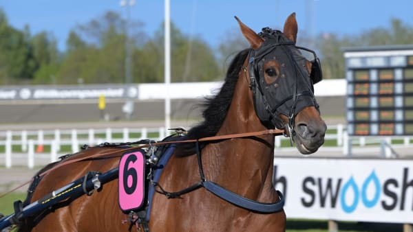 Foto: LARS JAKOBSSON / TR BILD