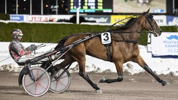 Foto: LENA EMMOTH / TR BILD