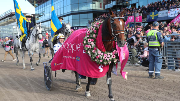 Foto: MARIA HOLMÉN/TR BILD