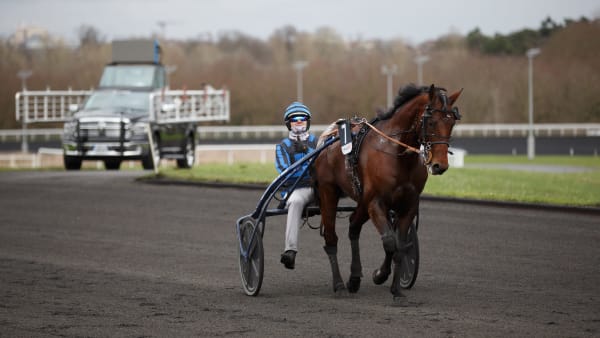 Foto: BRUNO VANDEVELDE/LE TROT